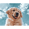 tray_icon #115404 sticker_pack