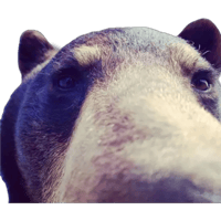 sticker image #1