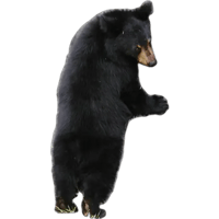 sticker image #3