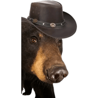 sticker image #4