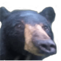 sticker image #5