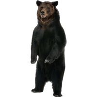 sticker image #6
