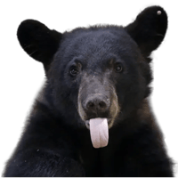 sticker image #8