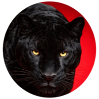 sticker image #2