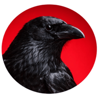 sticker image #3