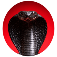 sticker image #4
