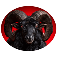 sticker image #5