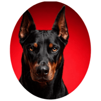 sticker image #7