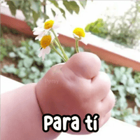 sticker image #23