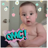Sticker Maker Bebes Encantadores Sticker Maker Bebes Encantadores