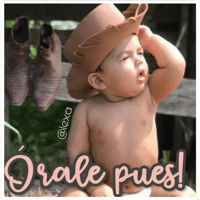 Sticker Maker Bebes Encantadores Sticker Maker Bebes Encantadores