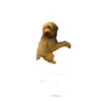 sticker image #3