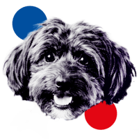 tray_icon