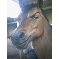 sticker image #10