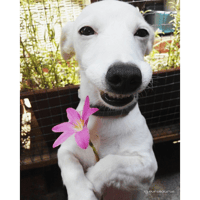 sticker image #14