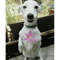 sticker image #15