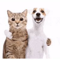 sticker image #17