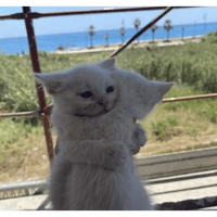 sticker image #21