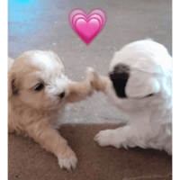 sticker image #22