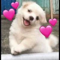 sticker image #24