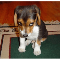 sticker image #25