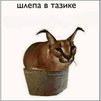sticker image #12