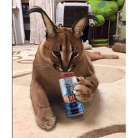 sticker image #17