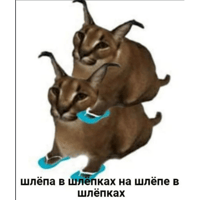 sticker image #18