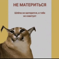 sticker image #19