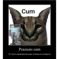 sticker image #26