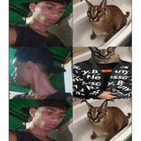 sticker image #27