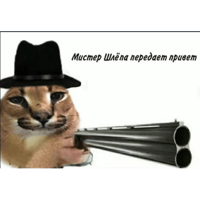 sticker image #5