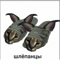 sticker image #8