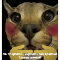 sticker image #11