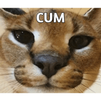sticker image #13