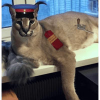 sticker image #21