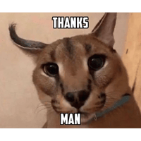sticker image #24