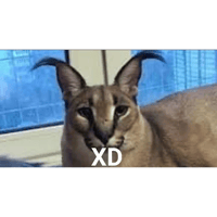sticker image #29