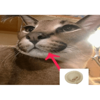 sticker image #30