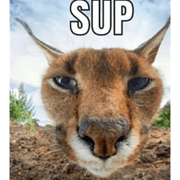 sticker image #5