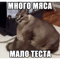 sticker image #8
