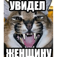 sticker image #9
