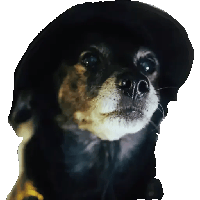 sticker image #1