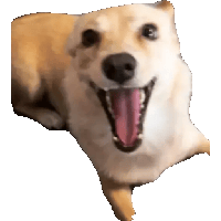 sticker image #24