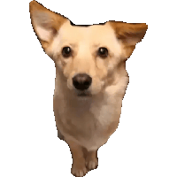 sticker image #25