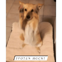 sticker image #26