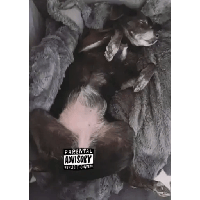 sticker image #29