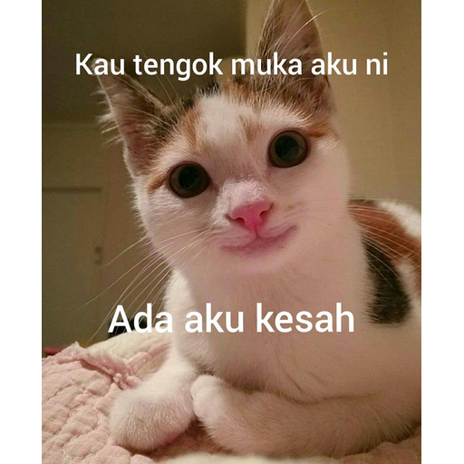 Sticker Maker on windows