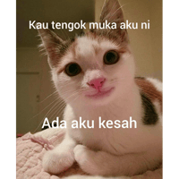 sticker image #3