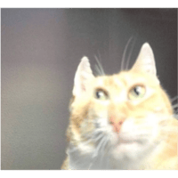 sticker image #19